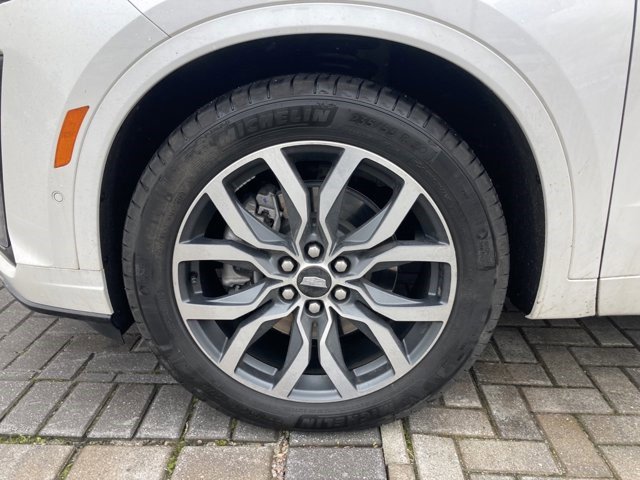 image-4