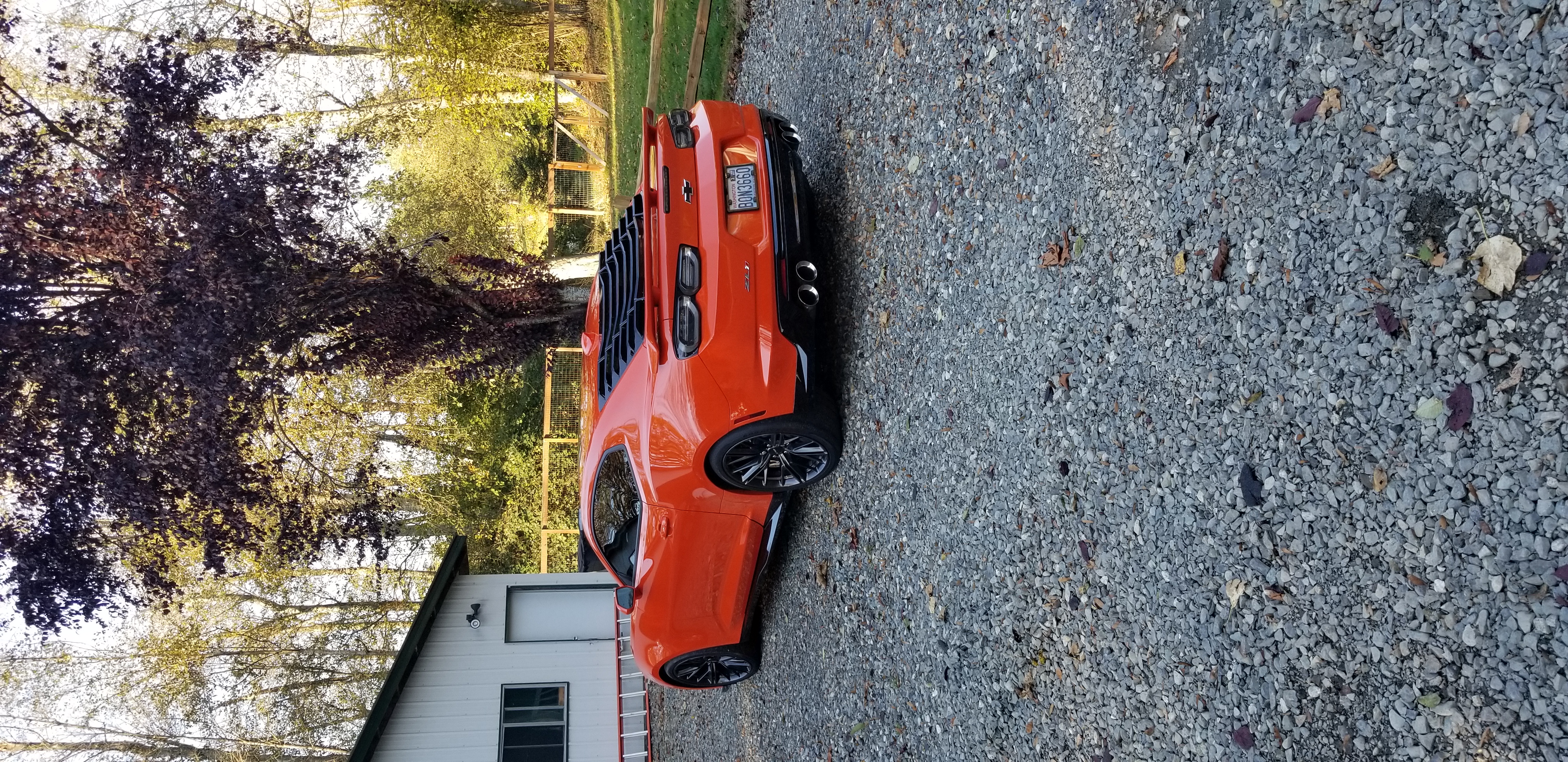 image-5