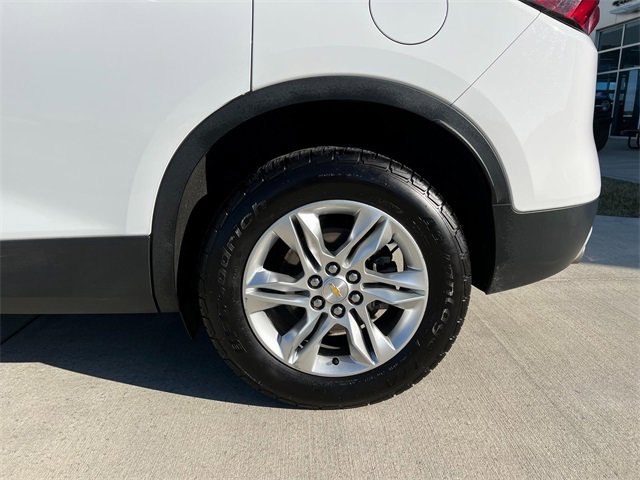 image-3