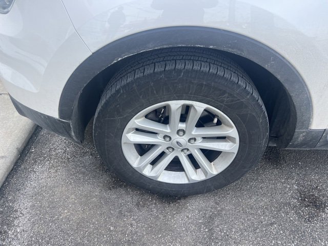 image-4