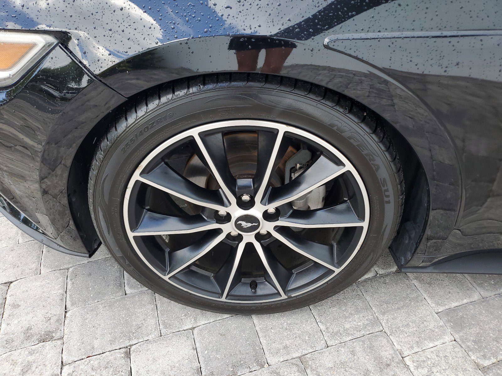image-4
