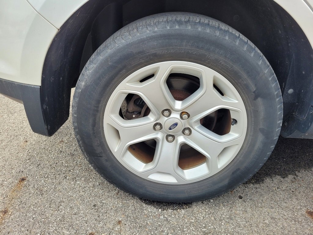 image-6