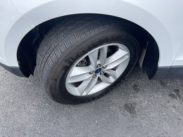 image-5
