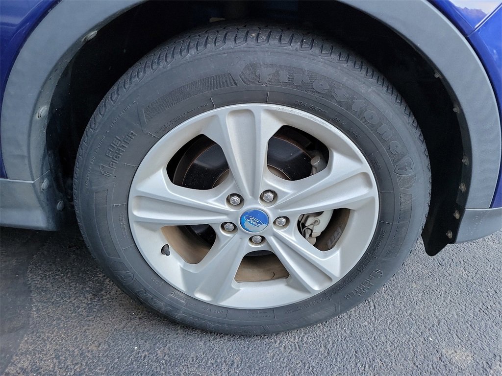 image-4